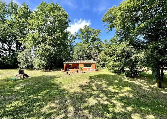 The Little House In The Forest 度假居 Kompítsion
